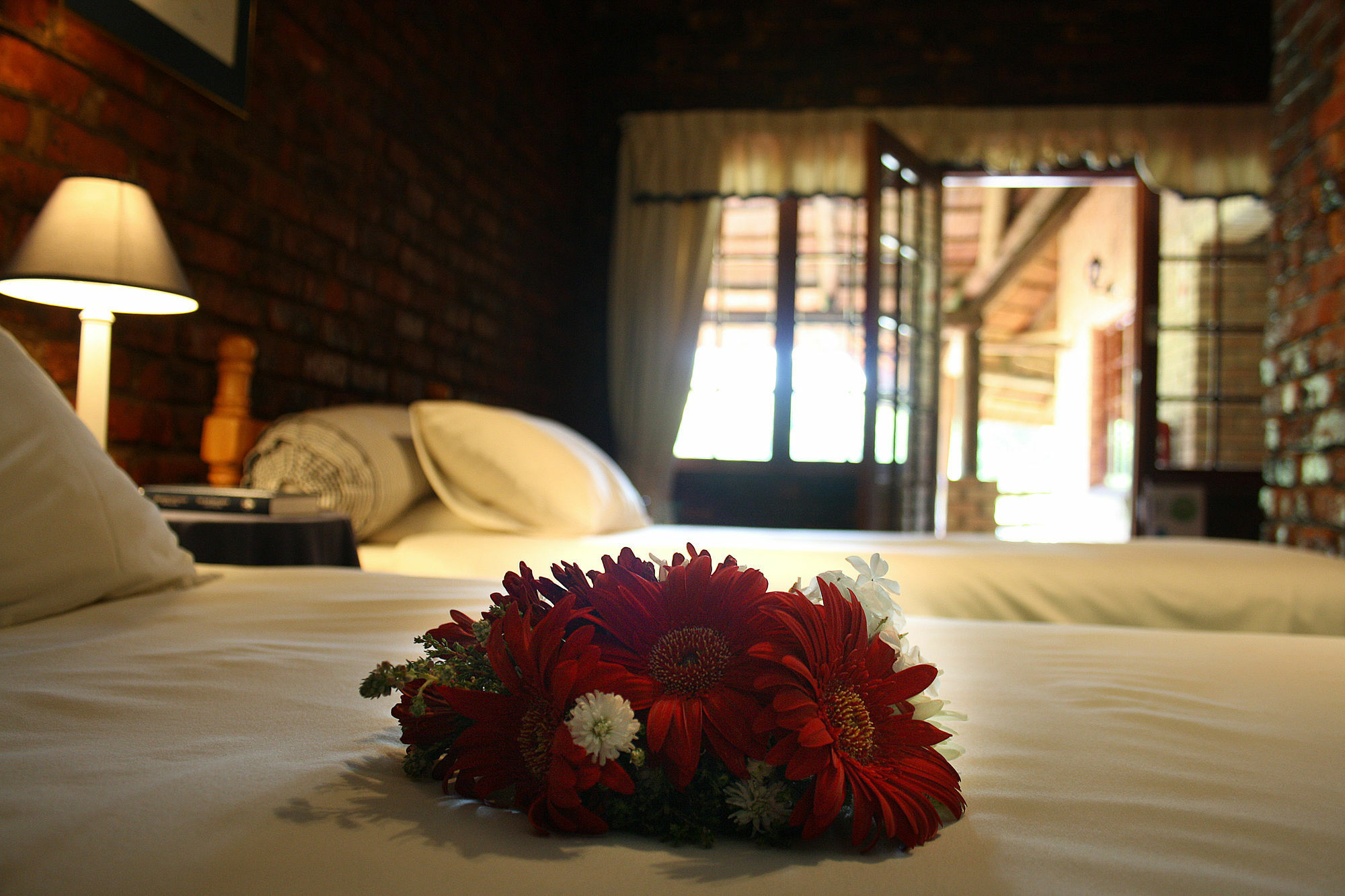 Storms River Guest Lodge Стормсрівер Екстер'єр фото